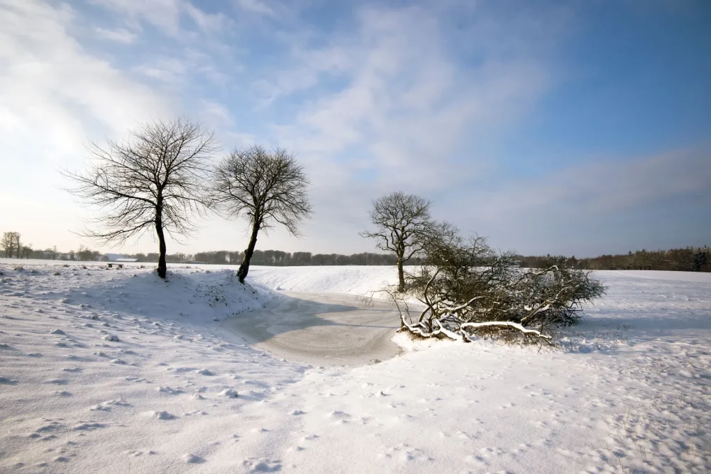 Sneklædt mark med vandhul