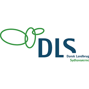 DLS logo